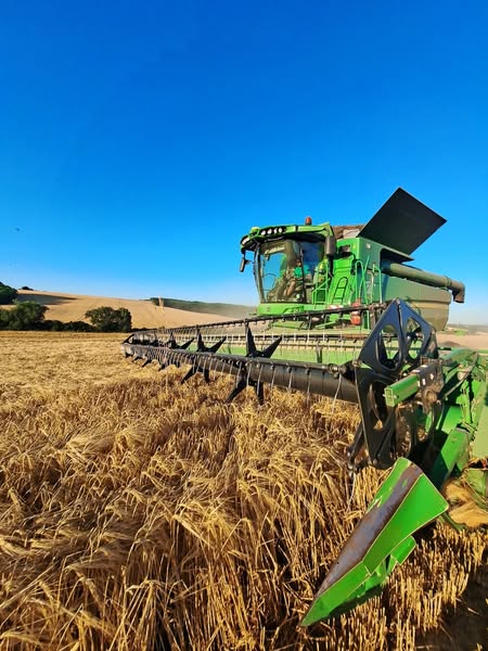 Žatva v plnom prúde! Traktory na poli, zlaté klasy pod kolesami – odmena za celoročnú prácu.